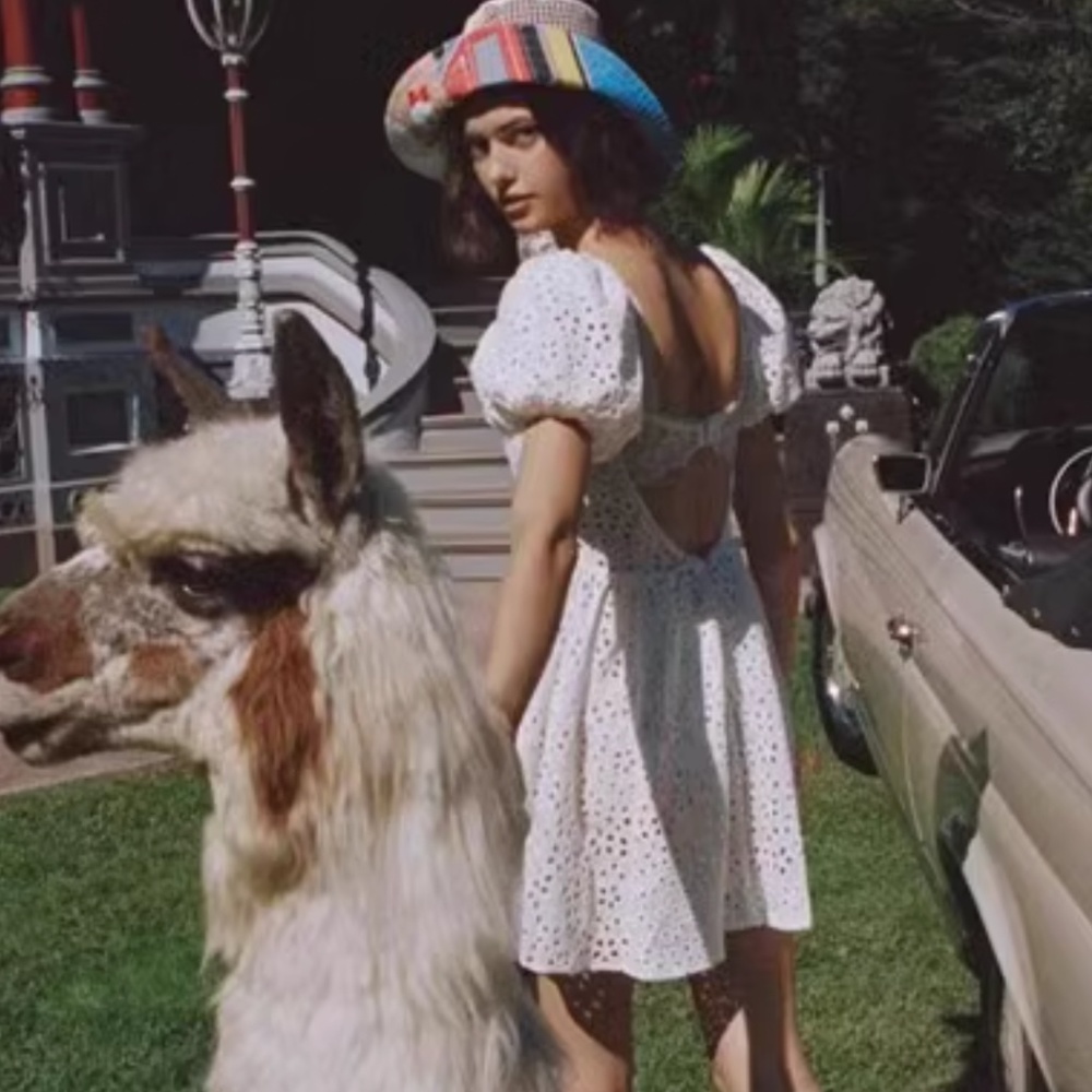 For Love and Lemons Becca Mini Dress - Ivory - Picture 4 of 16